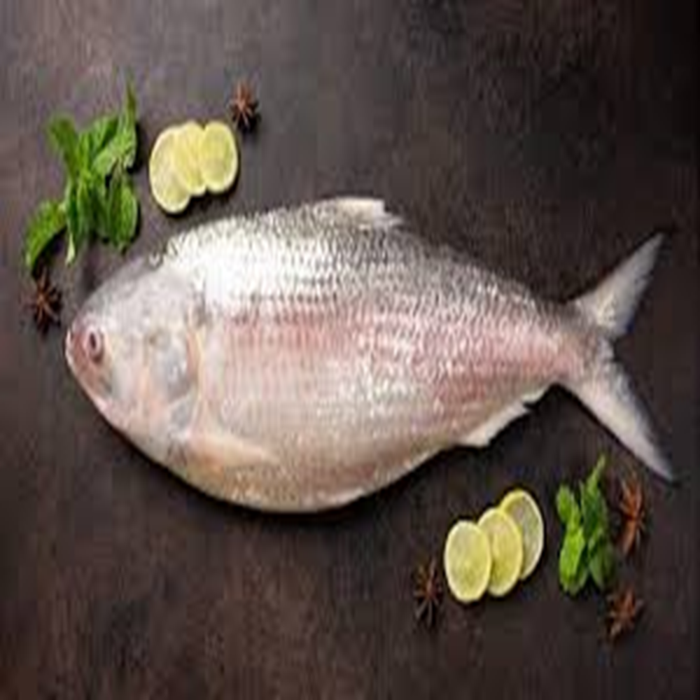 ilish (900-1000) gm