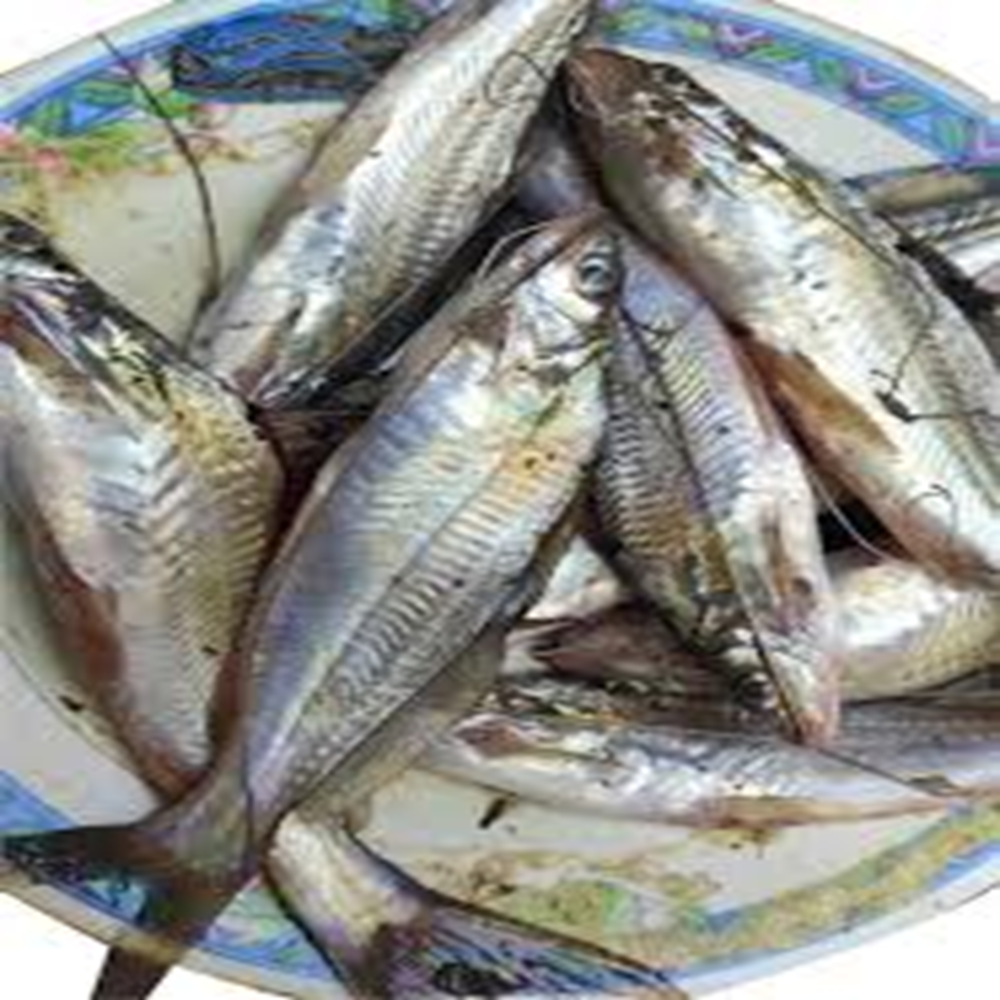 Gulsha Tengra