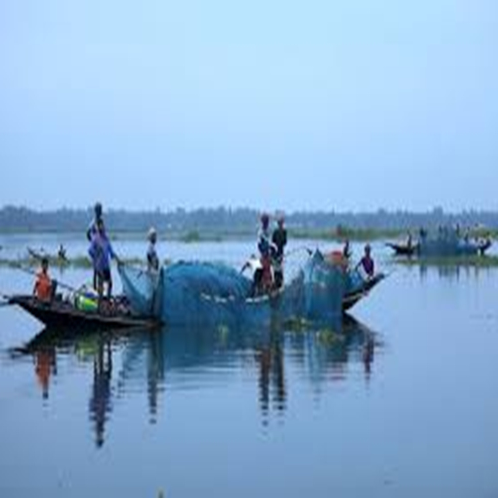 Fish Sourcing Team